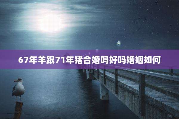 67年羊跟71年猪合婚吗好吗婚姻如何