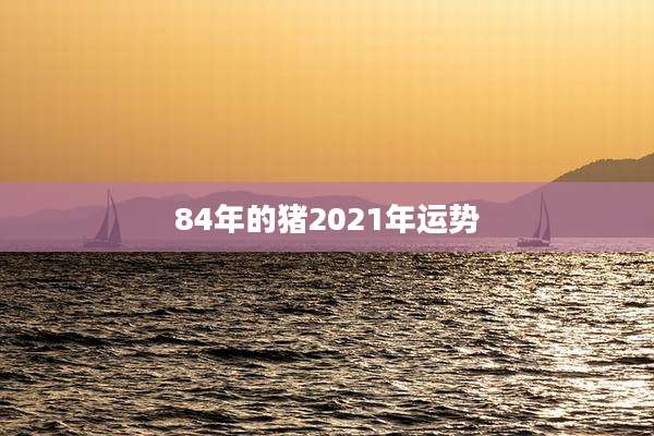 84年的猪2021年运势