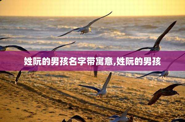 姓阮的男孩名字带寓意,姓阮的男孩