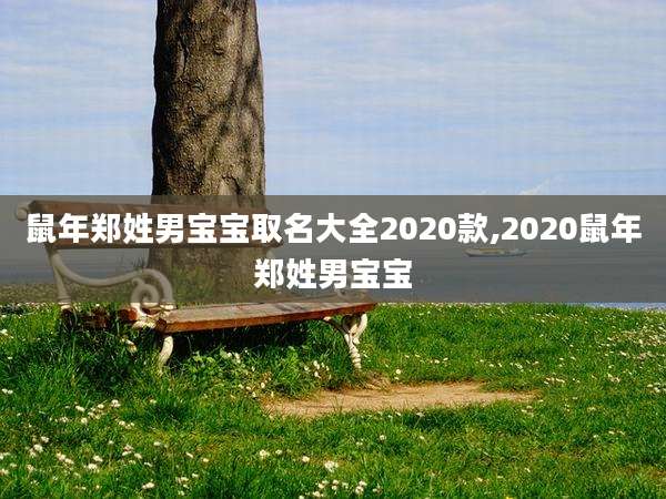 鼠年郑姓男宝宝取名大全2020款,2020鼠年郑姓男宝宝