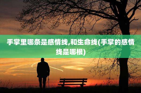 手掌里哪条是感情线,和生命线(手掌的感情线是哪根)