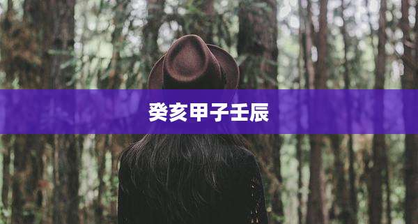 癸亥甲子壬辰