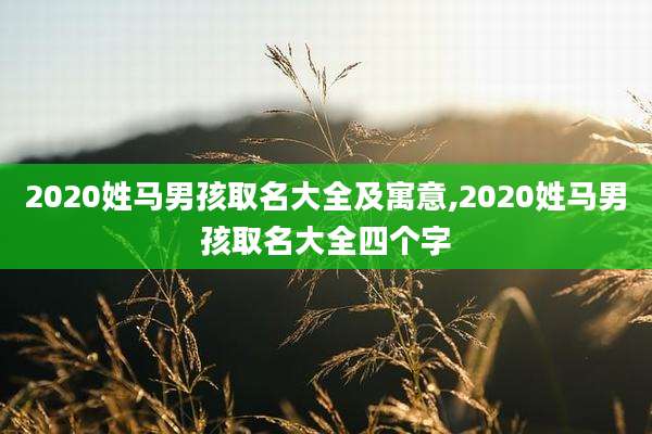 2020姓马男孩取名大全及寓意,2020姓马男孩取名大全四个字