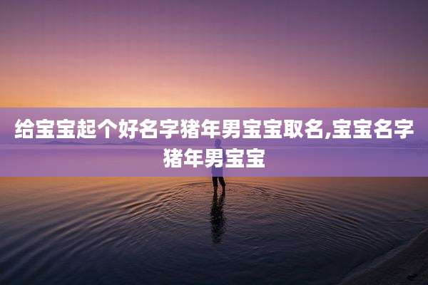 给宝宝起个好名字猪年男宝宝取名,宝宝名字猪年男宝宝
