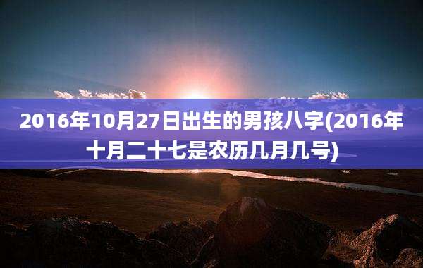 2016年10月27日出生的男孩八字(2016年十月二十七是农历几月几号)