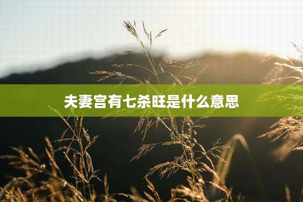 夫妻宫有七杀旺是什么意思