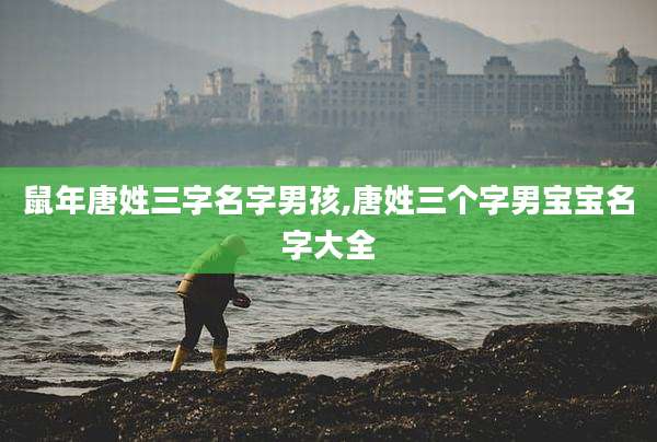 鼠年唐姓三字名字男孩,唐姓三个字男宝宝名字大全