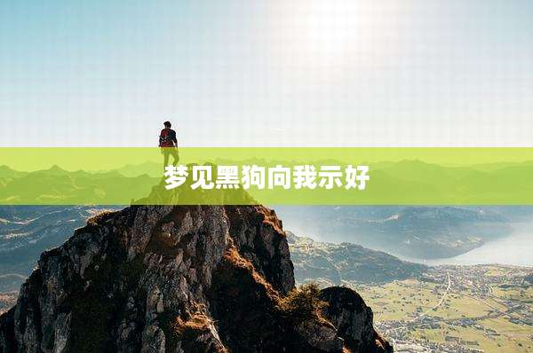 梦见黑狗向我示好