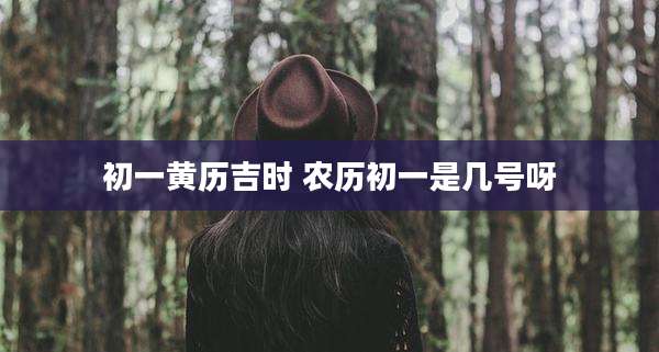 初一黄历吉时 农历初一是几号呀