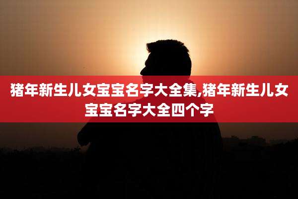 猪年新生儿女宝宝名字大全集,猪年新生儿女宝宝名字大全四个字
