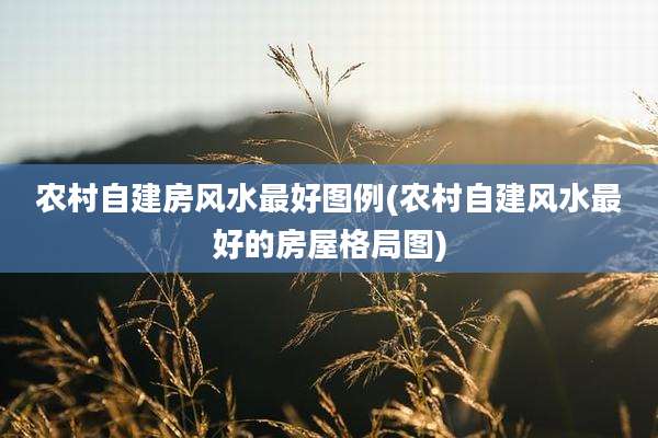 农村自建房风水最好图例(农村自建风水最好的房屋格局图)