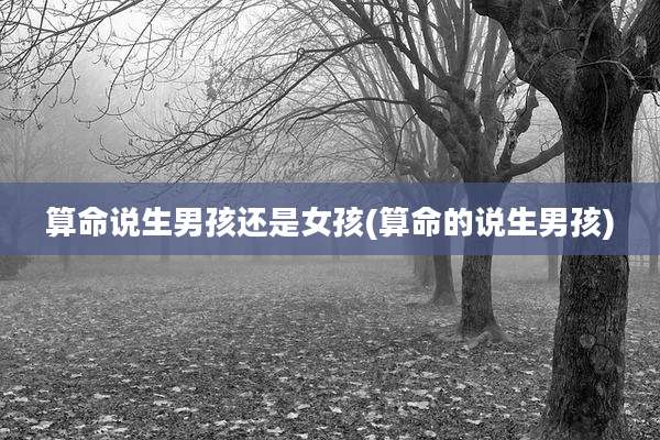 算命说生男孩还是女孩(算命的说生男孩)