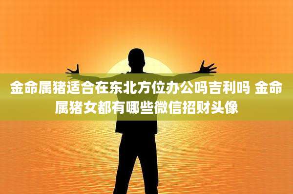 金命属猪适合在东北方位办公吗吉利吗 金命属猪女都有哪些微信招财头像
