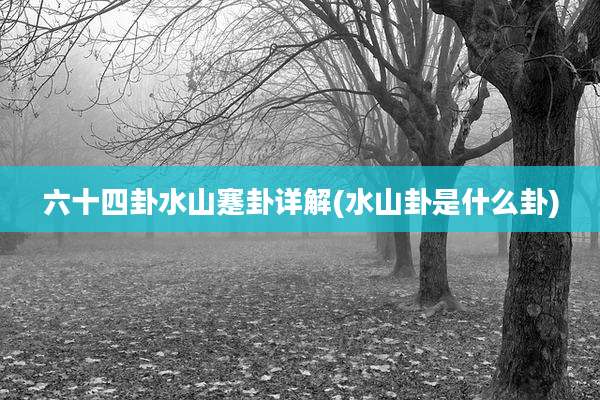 六十四卦水山蹇卦详解(水山卦是什么卦)