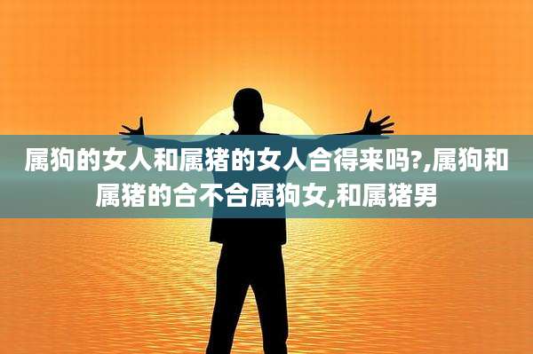 属狗的女人和属猪的女人合得来吗?,属狗和属猪的合不合属狗女,和属猪男