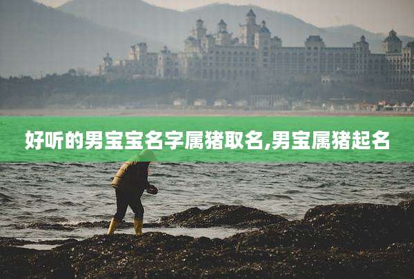 好听的男宝宝名字属猪取名,男宝属猪起名