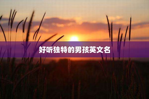 好听独特的男孩英文名