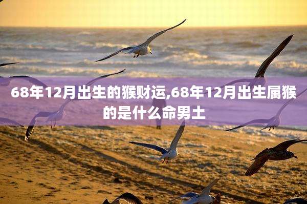 68年12月出生的猴财运,68年12月出生属猴的是什么命男土