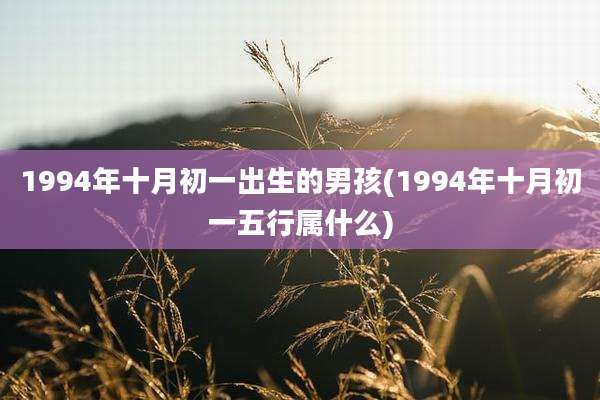 1994年十月初一出生的男孩(1994年十月初一五行属什么)