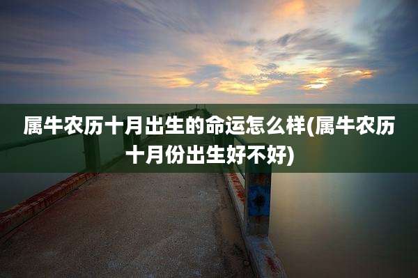 属牛农历十月出生的命运怎么样(属牛农历十月份出生好不好)