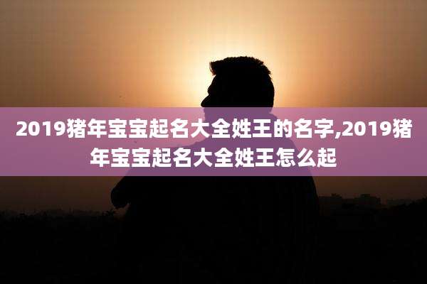 2019猪年宝宝起名大全姓王的名字,2019猪年宝宝起名大全姓王怎么起