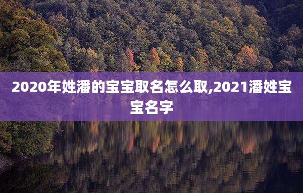 2020年姓潘的宝宝取名怎么取,2021潘姓宝宝名字
