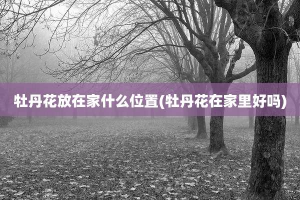 牡丹花放在家什么位置(牡丹花在家里好吗)