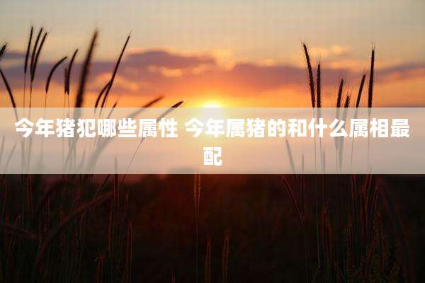 今年猪犯哪些属性 今年属猪的和什么属相最配