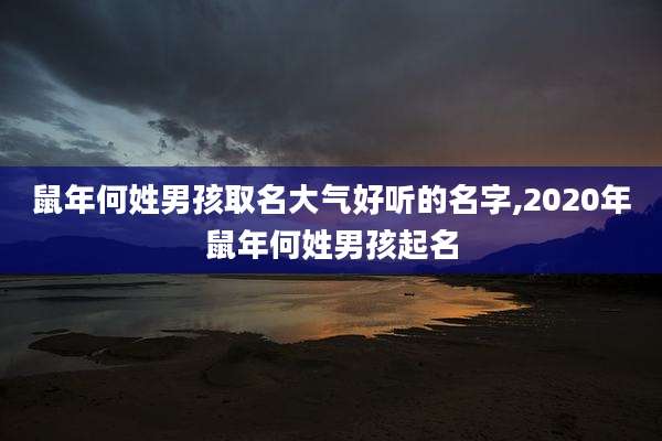 鼠年何姓男孩取名大气好听的名字,2020年鼠年何姓男孩起名
