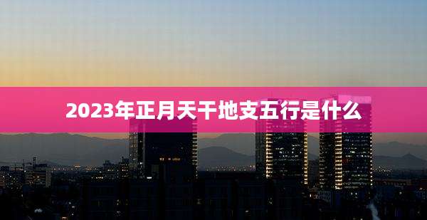 2023年正月天干地支五行是什么