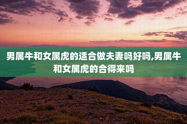 男属牛和女属虎的适合做夫妻吗好吗,男属牛和女属虎的合得来吗