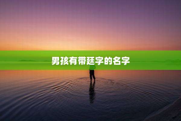 男孩有带廷字的名字