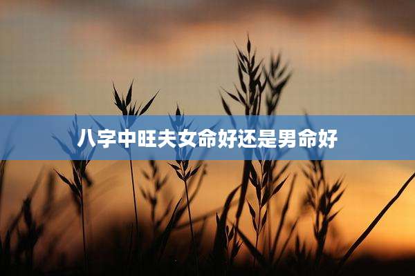 八字中旺夫女命好还是男命好