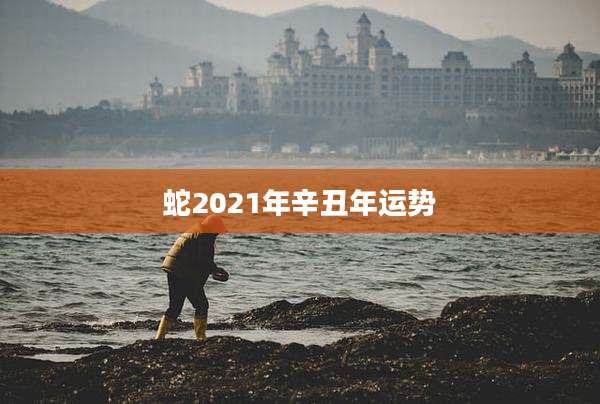 蛇2021年辛丑年运势