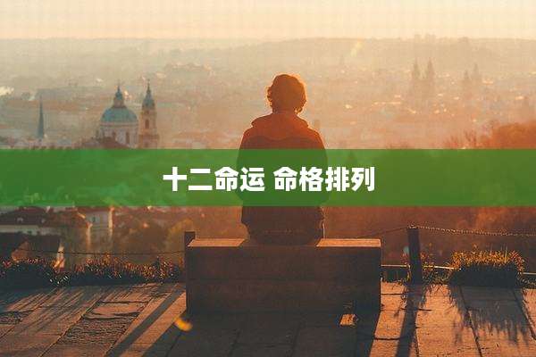 十二命运 命格排列
