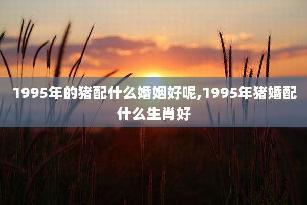 1995年的猪配什么婚姻好呢,1995年猪婚配什么生肖好