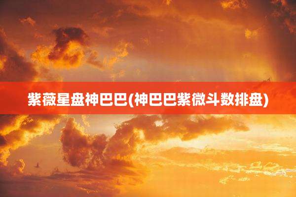 紫薇星盘神巴巴(神巴巴紫微斗数排盘)