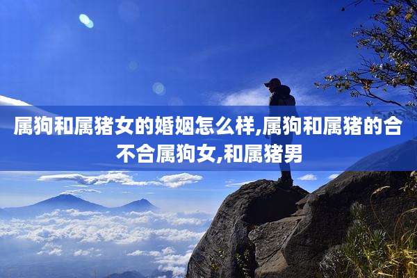 属狗和属猪女的婚姻怎么样,属狗和属猪的合不合属狗女,和属猪男
