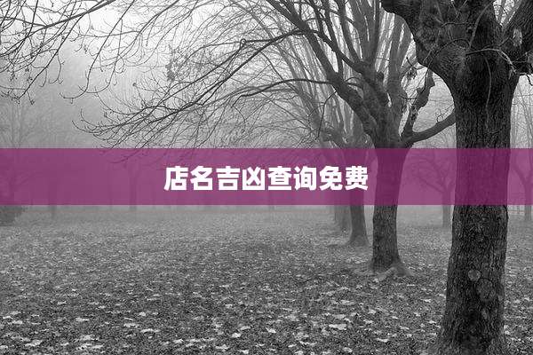 店名吉凶查询免费