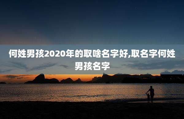 何姓男孩2020年的取啥名字好,取名字何姓男孩名字