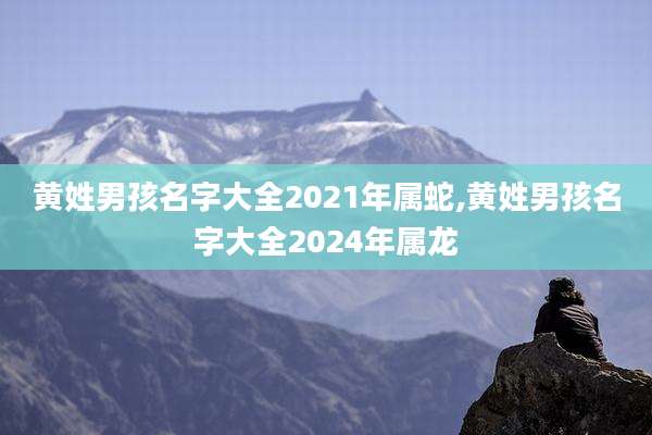黄姓男孩名字大全2021年属蛇,黄姓男孩名字大全2024年属龙