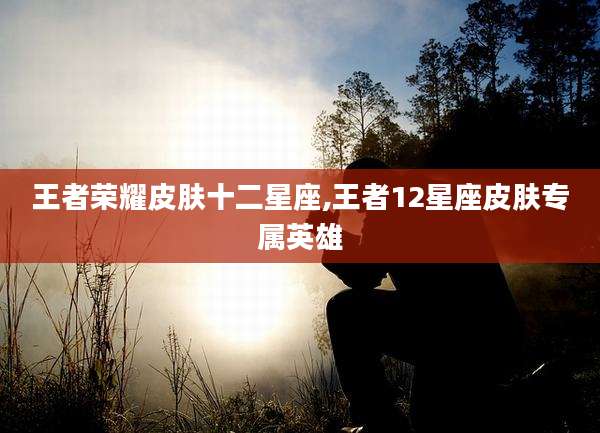 王者荣耀皮肤十二星座,王者12星座皮肤专属英雄