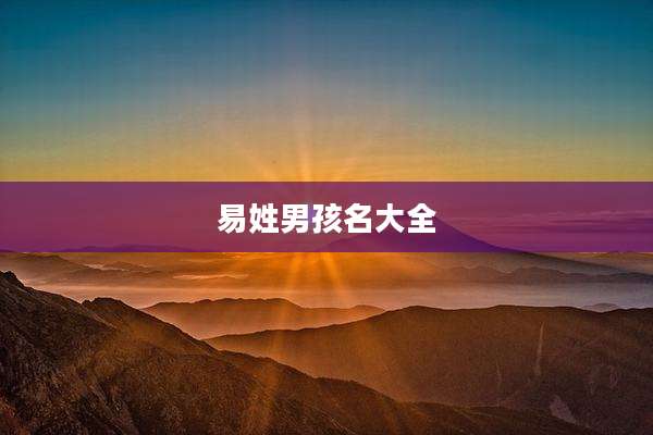 易姓男孩名大全