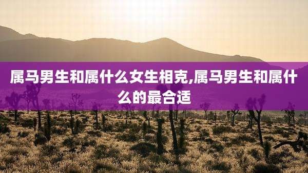属马男生和属什么女生相克,属马男生和属什么的最合适