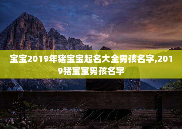 宝宝2019年猪宝宝起名大全男孩名字,2019猪宝宝男孩名字