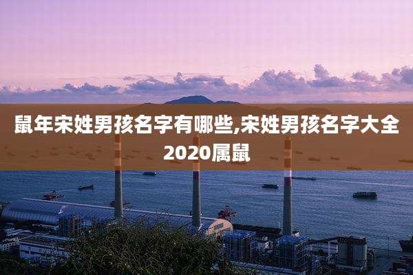 鼠年宋姓男孩名字有哪些,宋姓男孩名字大全2020属鼠