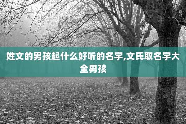 姓文的男孩起什么好听的名字,文氏取名字大全男孩