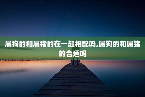 属狗的和属猪的在一起相配吗,属狗的和属猪的合适吗