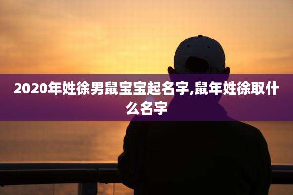 2020年姓徐男鼠宝宝起名字,鼠年姓徐取什么名字