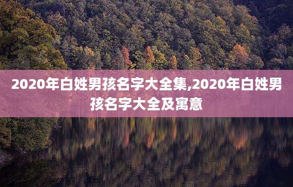 2020年白姓男孩名字大全集,2020年白姓男孩名字大全及寓意